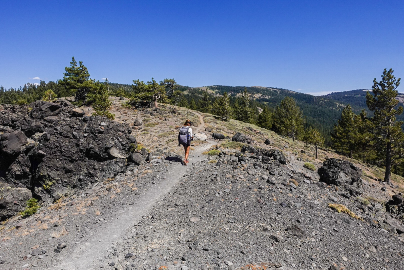 PCT Day 137 : A Madman Is Chasing Me – ROAMING WILD ROSIE
